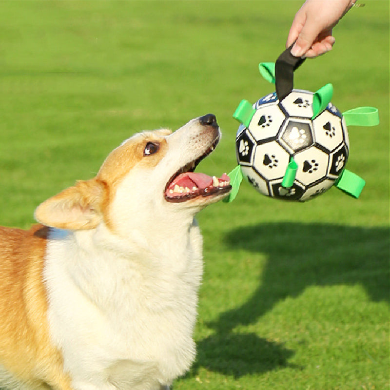 PawKick™ - De Voetbal voor Honden