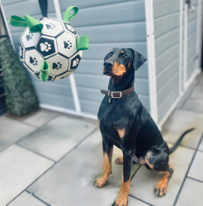 PawKick™ - De Voetbal voor Honden