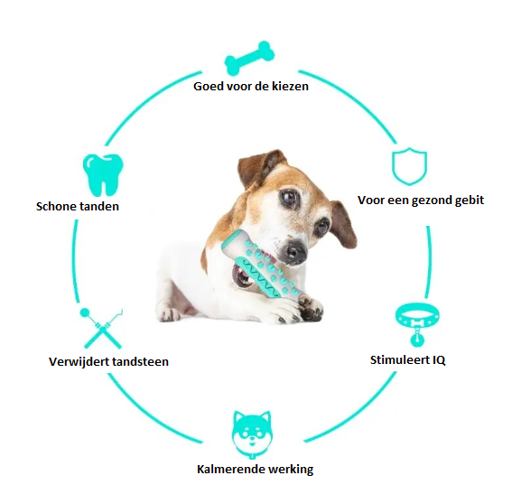 DentalDog™ Hondenkauwbotje