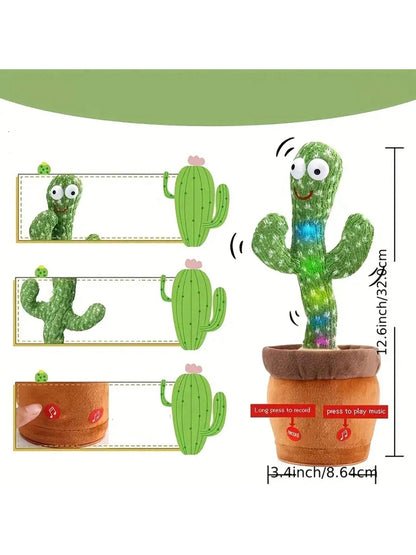 Kees | De kleine cactus vriend