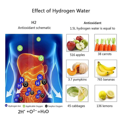 V2 Waterfles™ Transformeer je gezondheid!