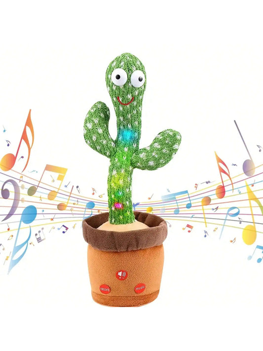 Kees | De kleine cactus vriend