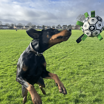 PawKick™ - De Voetbal voor Honden