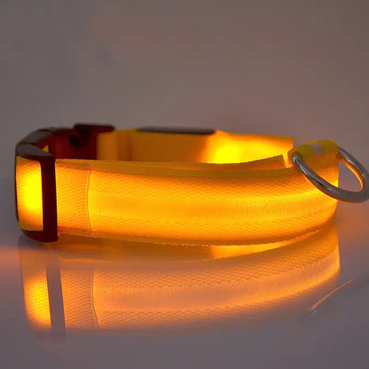 SafeWalk™ Halsband met LED-verlichting