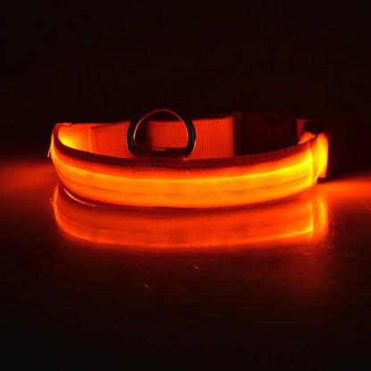 SafeWalk™ Halsband met LED-verlichting